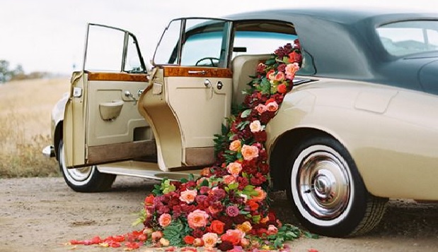 نگاهی به پدیده شوگرمامی شوگرددی