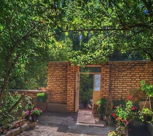 سایه‌ی درخت انجیر