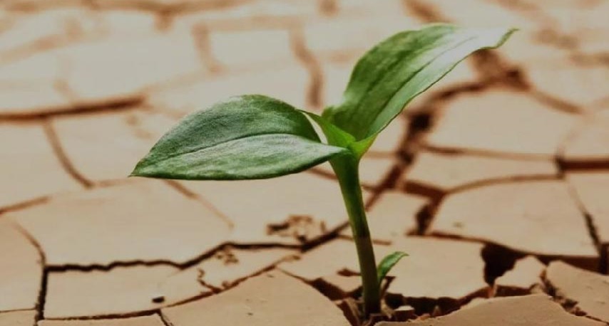 افراد تاب‌آور در موقعیت‌های دشوار چطور عمل می‌کنند؟