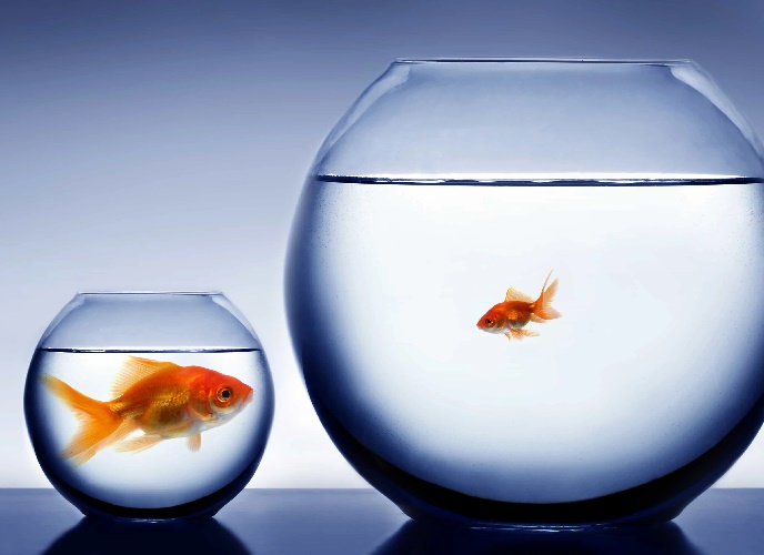 articles[i].Article_Title